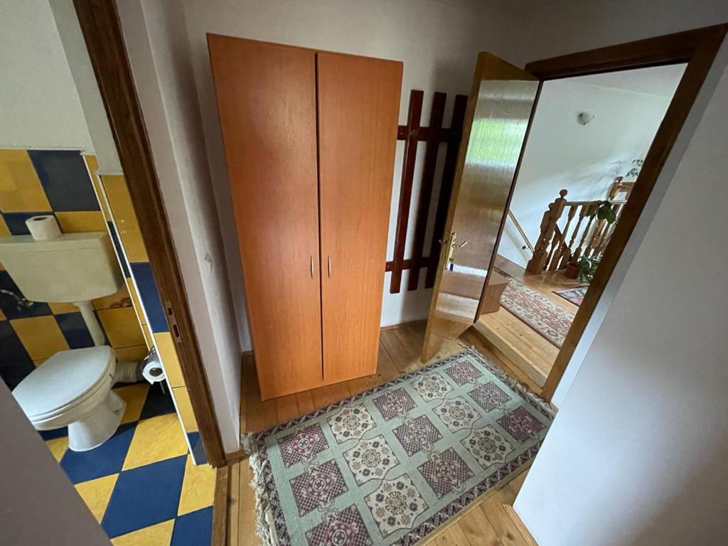 Pensiunea Gentiana Vatra Dornei Εξωτερικό φωτογραφία